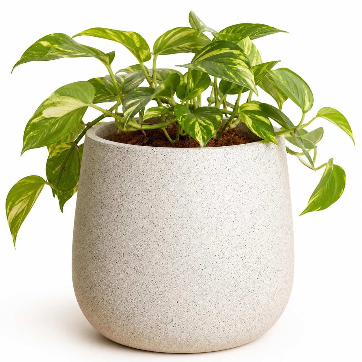 Amazon.co.jp: JUHAN つぼ丸型 マグネシウムプランター 植木鉢 軽量
