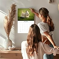 Vista 546 de Razas de Perros 2017