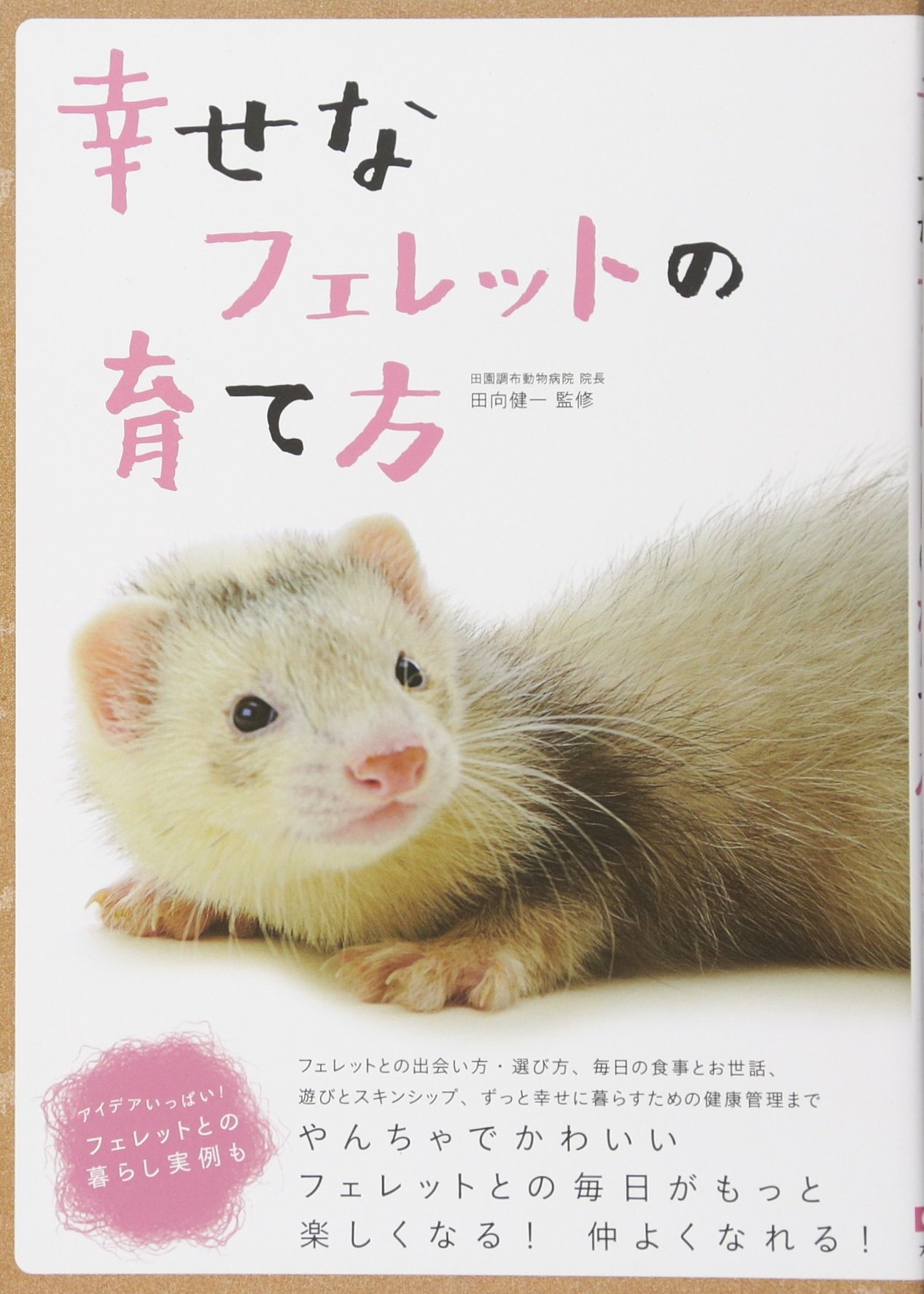 Amazon.co.jp: 幸せなフェレットの育て方 : 田向 健一: 本