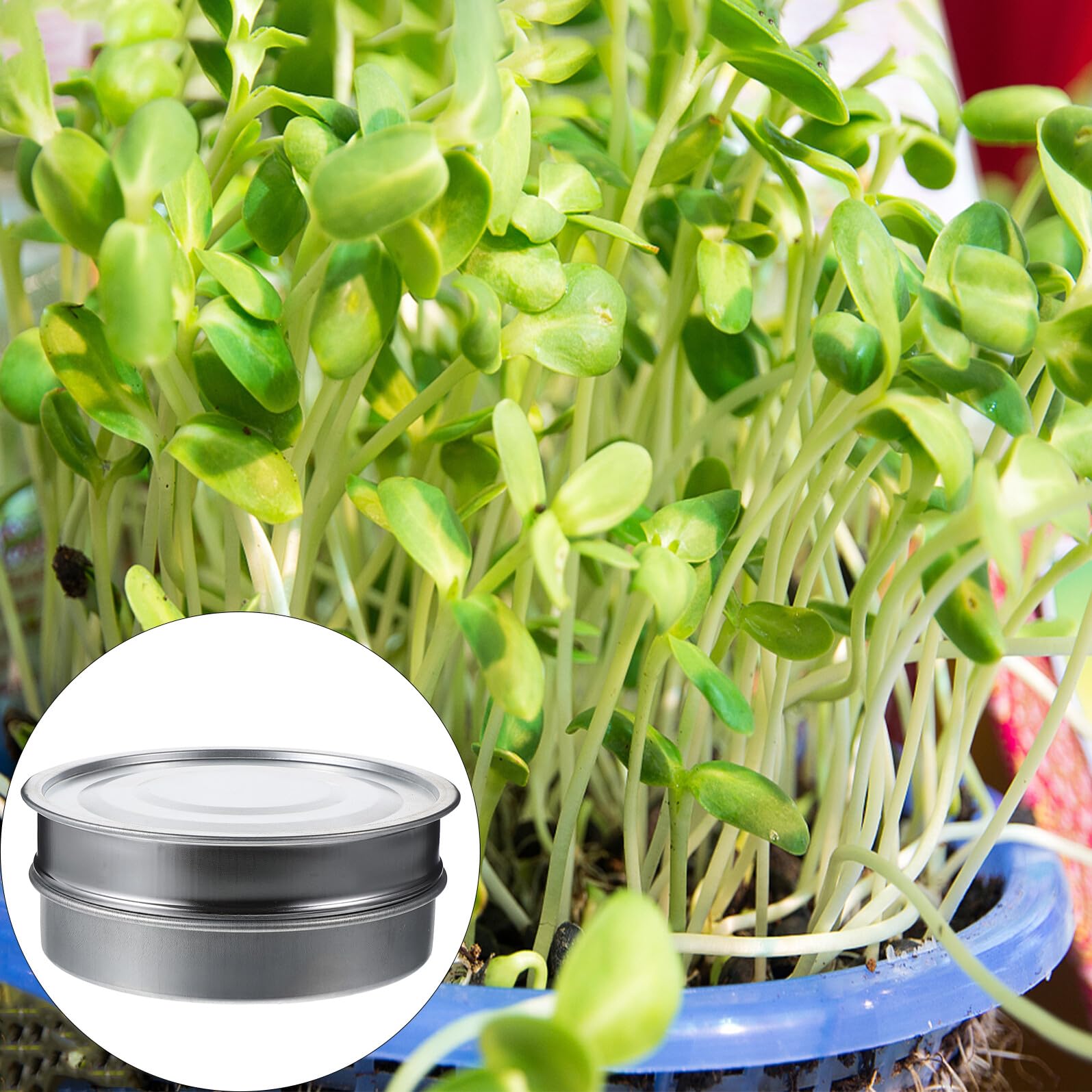 Anneome Juego de Bandejas Malla Delicada para Germinación de Acero Inoxidable de 20cm Resistente y Apilable, Adecuado para Jardinería en Casa y Cultivo de Semillas
