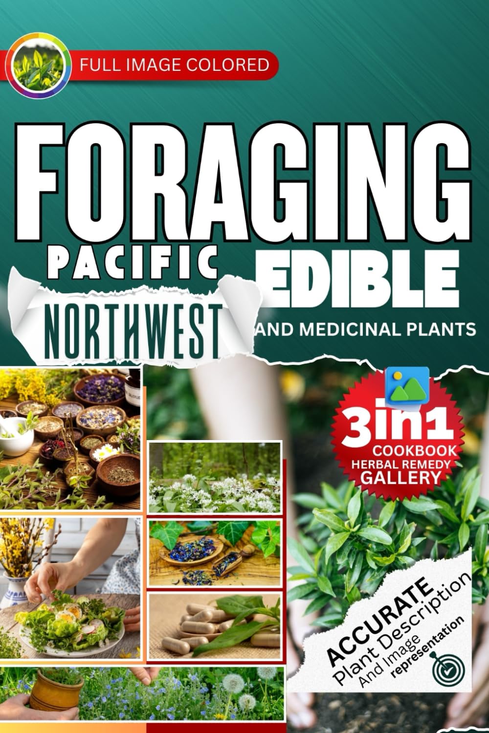 Foraging Pacific Northwest Edible and Medicinal Plants: Easiest Guide with In-Depth Profiles on Identifying, Harvesting, and Using Native Wild Plants of the Northwest