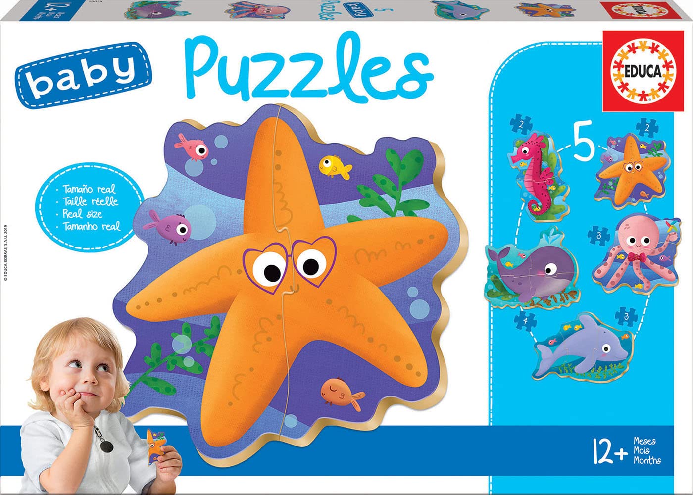 Educa Baby Puzzles Animali Acquatici – 5 Puzzle Progressivi 3-5 Pezzi Per Bambini 24+ Mesi - 4