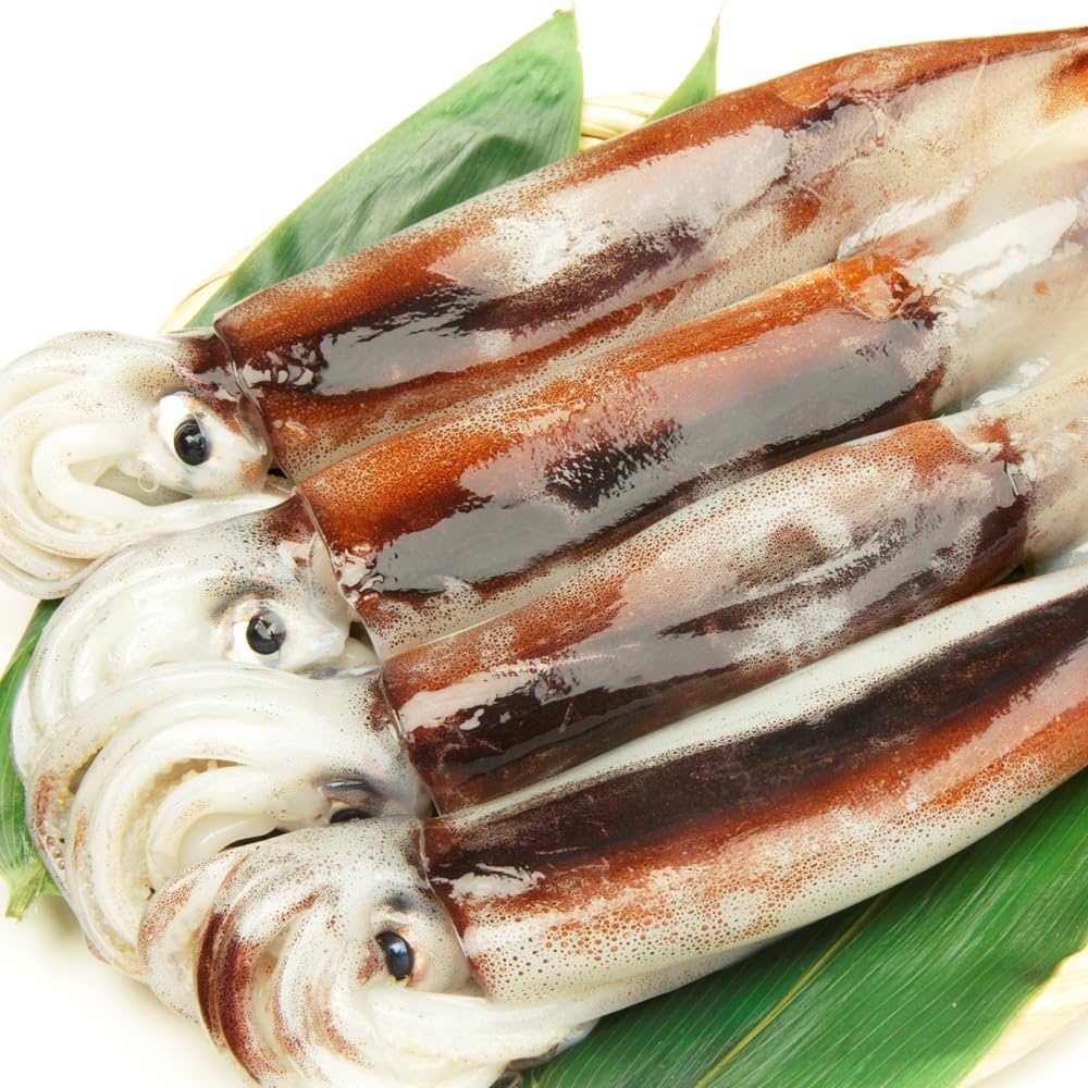 『復活！』前浜するめ足【2kg】 復活！』前浜するめ足【2kg】Sサイズ （スーパーセール 目玉商品