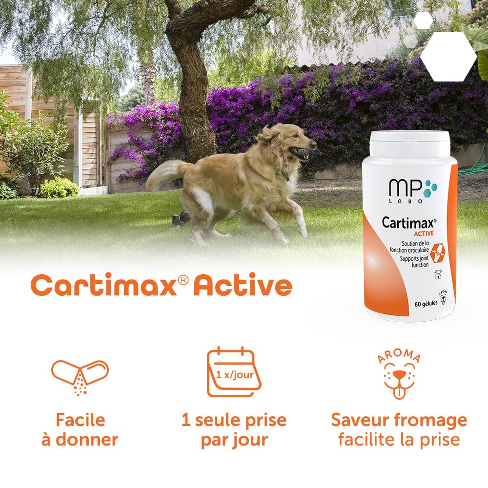 MP Labo Cartimax® Active 60 Gélules - Soutien de la Fonction Articulaire pour Chiens