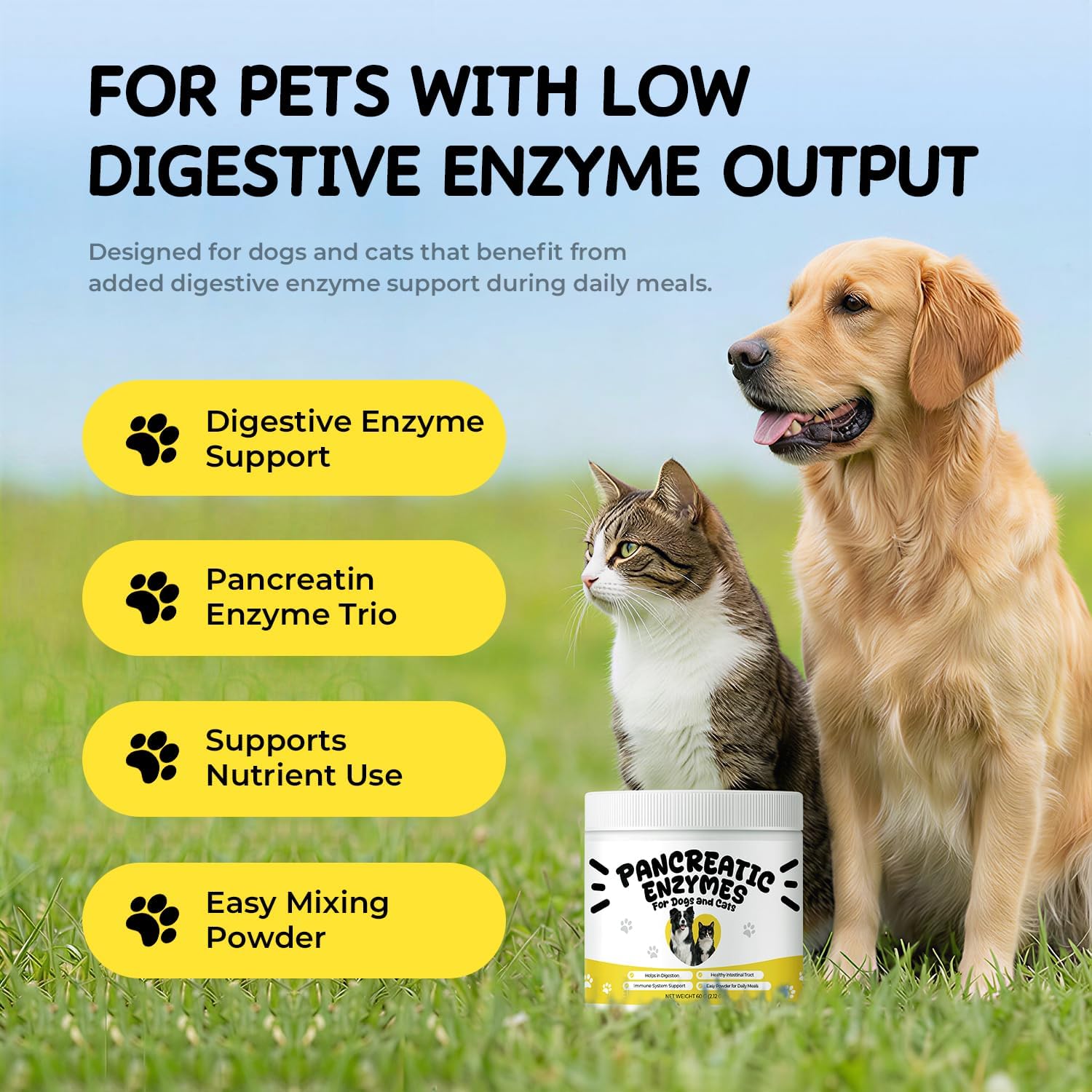 Pancreatic Enzymes Powder for Dogs & Cats, Pancreatin Digestive Enzyme Supplement for EPI Support, Helps Maintain Digestion, Stool Consistency & Healthy Weight – 2 oz
