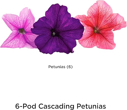 Miniatura 2 de AeroGarden Love Blooms - Juego de 3 cápsulas para semillas Petunias en cascada