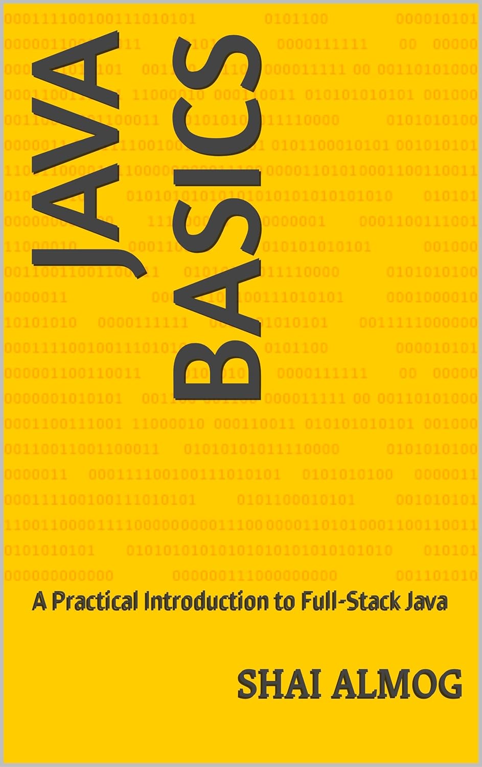 Java Basics: A Practical Introduction to Full-Stack Java eBook : Almog ...