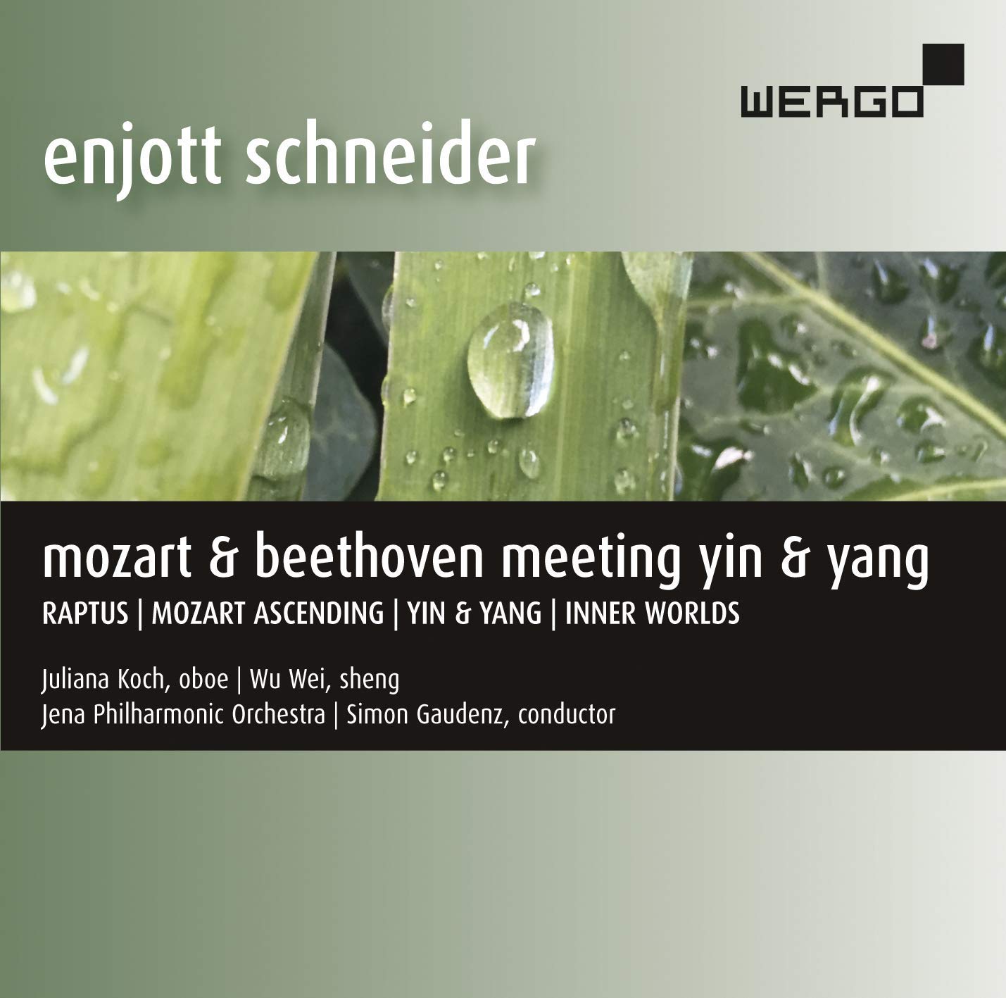 Enjott Schneider: Mozart & Beethoven meeting yin & yang