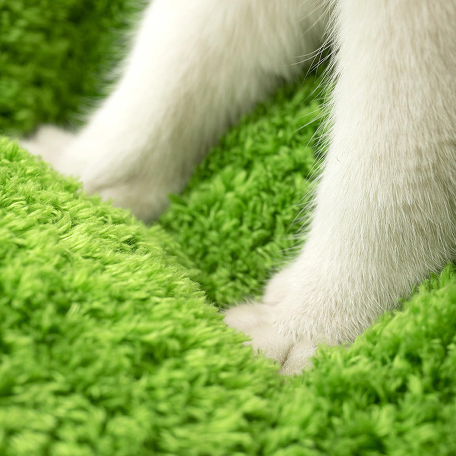 Katzenbett – 60 cm Kiefernbaum-Design für gemütliche Erholung, waschbares