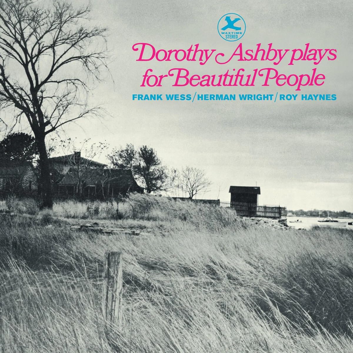 Plays For Beautiful People [VINYL]