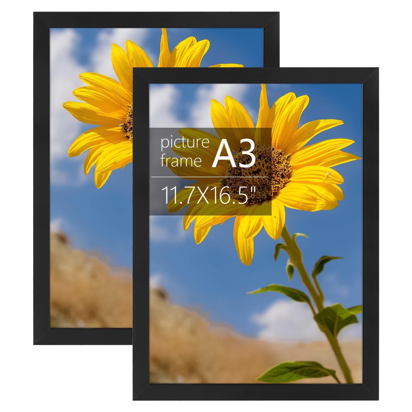 Golden State Art A3 Frame with Plexiglass, Set of 2