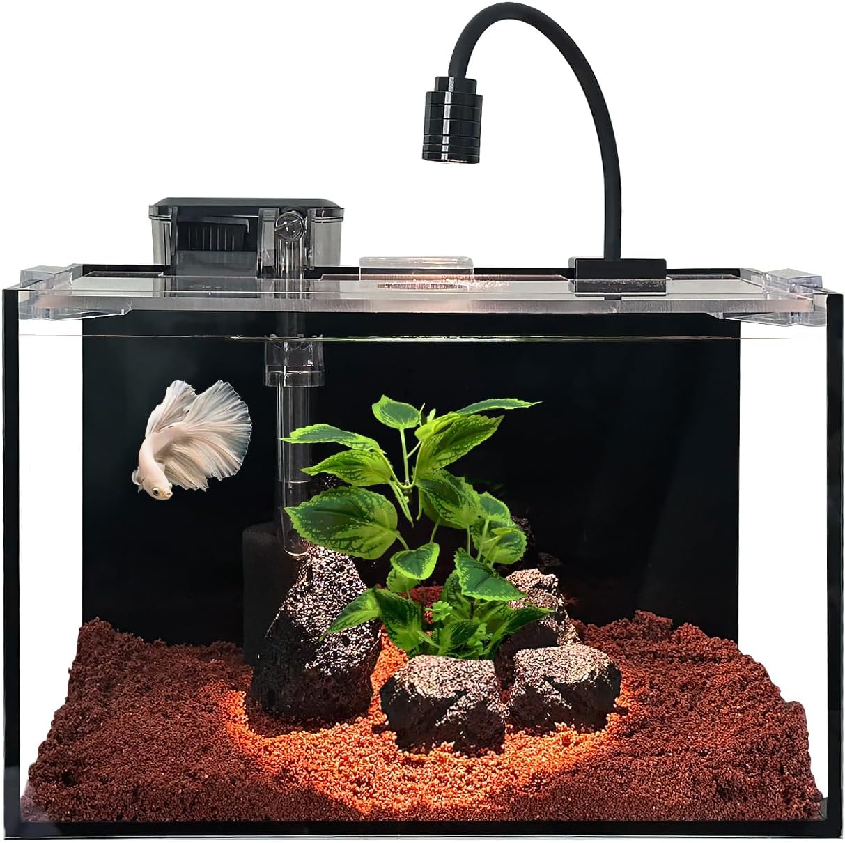 Craftsboys 11L Ultra Clear Aquarium-Set mit LED-Beleuchtung, Filter, Sand und Steinen – Aquarium im Regenwald-Stil, 30 x 18 x 20 cm Craftsboys 11L Ultra Clear Aquarium-Set mit LED-Beleuchtung, Filter, Sand und Steinen – Aquarium im Regenwald-Stil, 30 x 18 x 20 cm