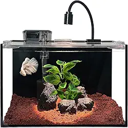 Nano tanque de peixes de 3 galões com filtro, luz LED, cascalho, pedra, aquascape, aquário para iniciantes, tanque de peixes Betta (30 x 18 x 20 cm, 11 L)