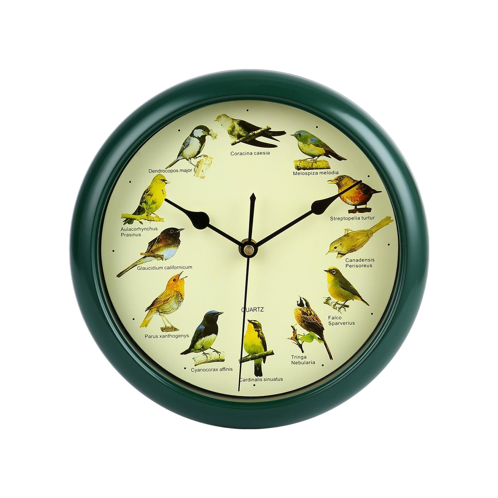 ATORSE 10inch Singing Wild Bird Wall Clock Battery Powered Melody Clock for Kitchen