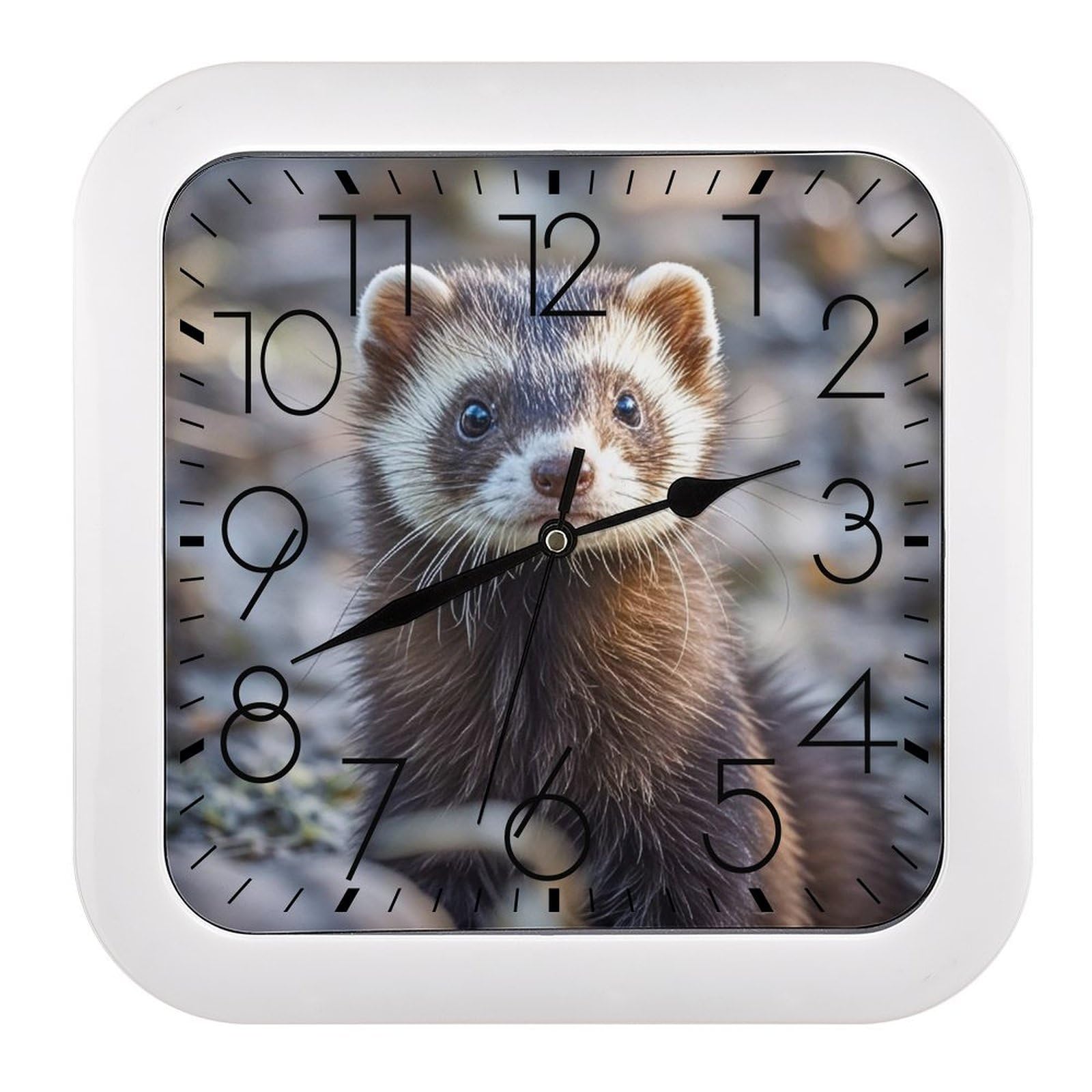 FekiLoot Square Hairy Ferret Wall Clock Decorative Battery Operated Analog Clocks Silent Non-Ticking Frame Wall Clocks Perfect Kitchen Or Office Clock 10 Inch