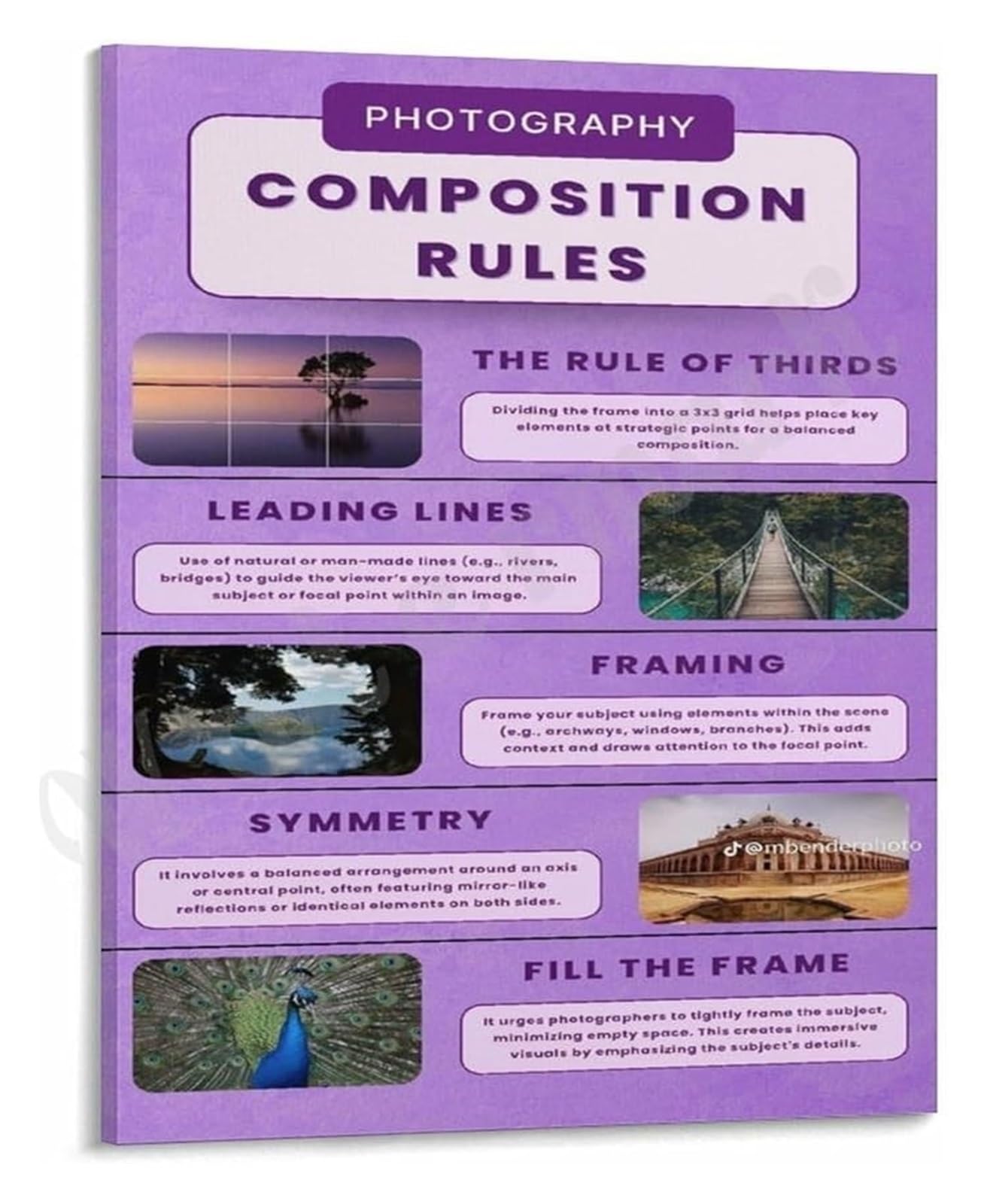 Cbqzchwdkt Framed Learn Photography Poster Composition Rules Guide Wall-Art For Beginners Home Studio Living Room Office Inspiration Gift(,08X12inch(20X30cm))