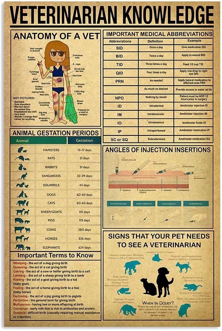 peiyeety Veterinarian Knowledge Metal Tin Sign Home Office Decor Veterinarian Knowledge Metal Poster For Home Hospital Office Wall Decor es 8"x12"