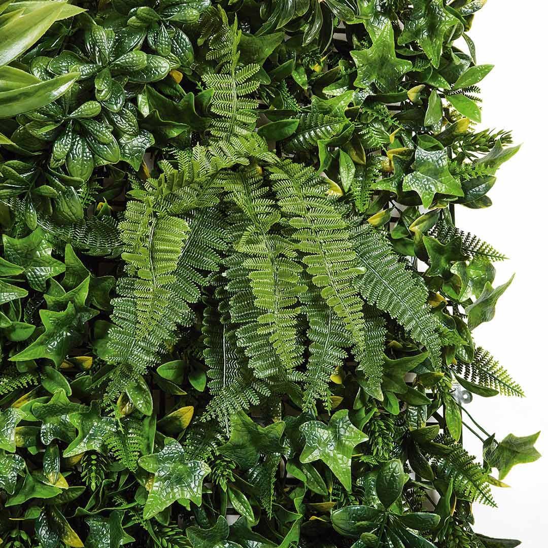 CATRAL Jardín Vertical Tropic Wild para Jardín y Terraza 100X100CM | Producto Nortene Para Jardín, Terraza Y Exterior, Resistente Y Duradero Para Uso Exterior Continuado. Fácil Instalación