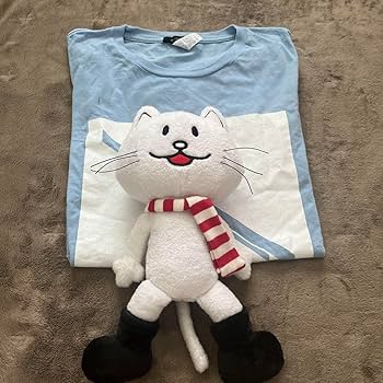 Amazon.co.jp: BUMP OF CHICKEN ライブグッズ ニコル : おもちゃ