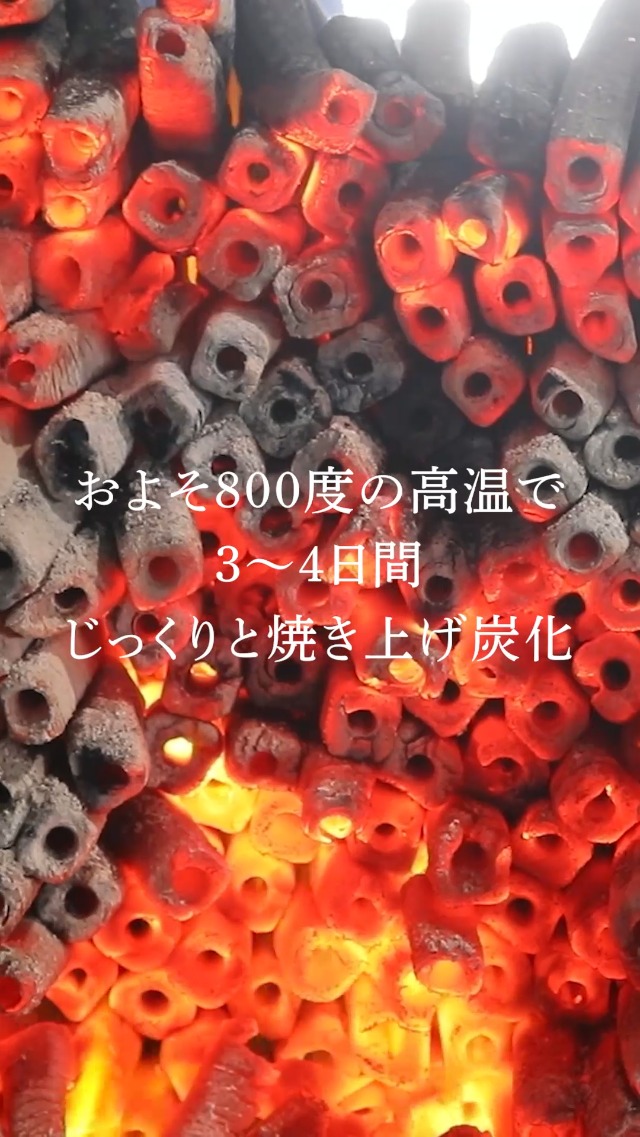 拡張版 霧深い雨林 日本語 4枚セット Amazon.co.jp: レック 買い替え不要 除湿剤 + 消臭 本家炭屋 スクエア