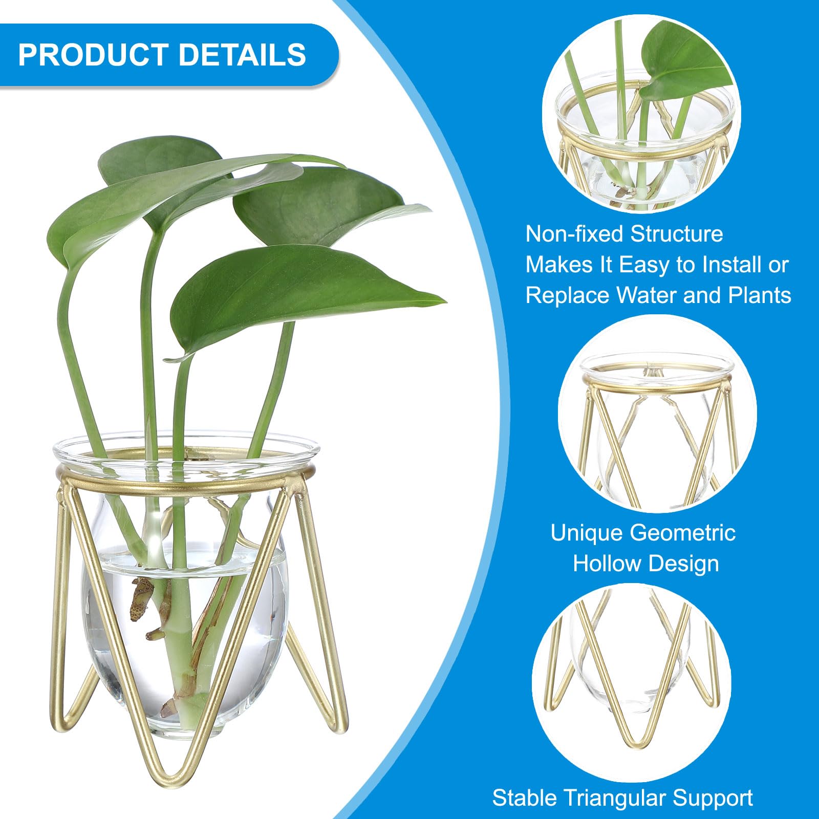 PATIKIL Glass Plant Terrarium with Metal Stand - Image 3