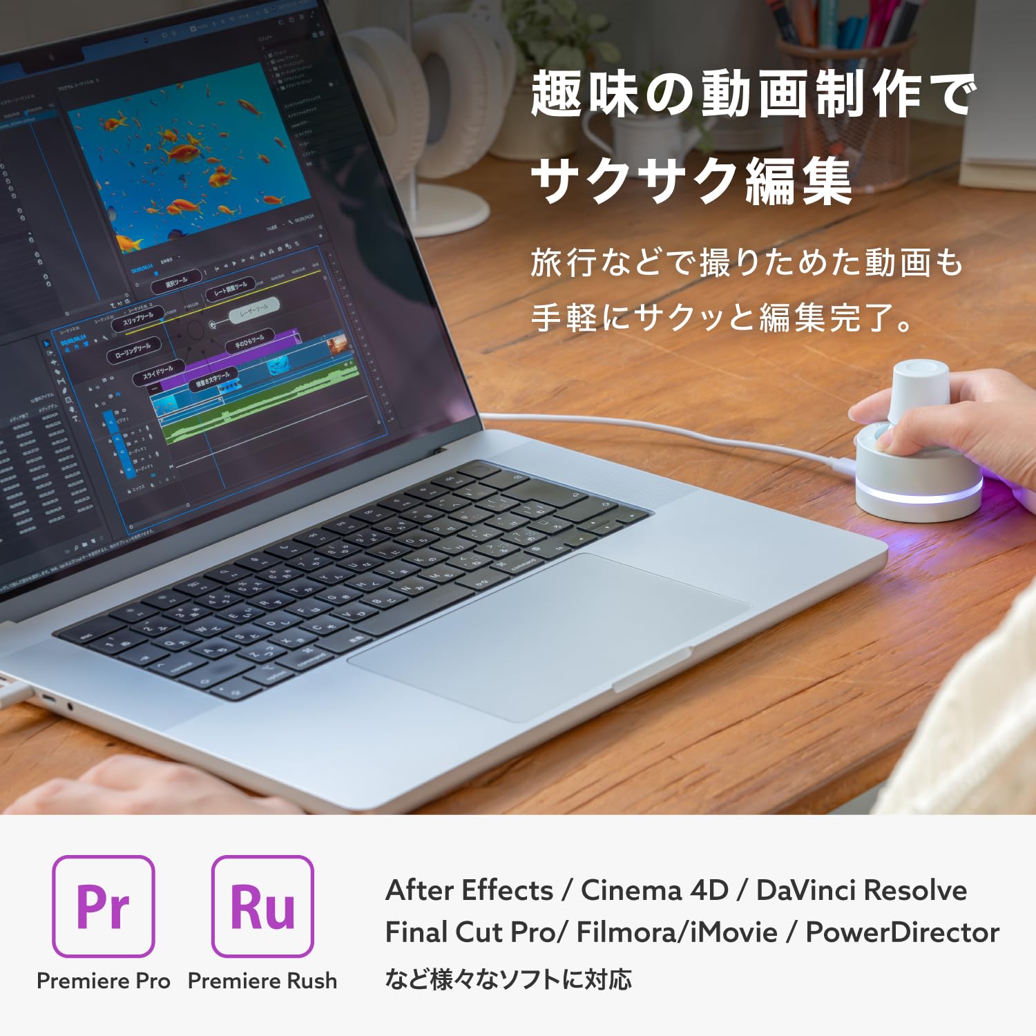Amazon | 【Amazon.co.jp限定】BRAIN MAGIC Luminella（ルミネラ