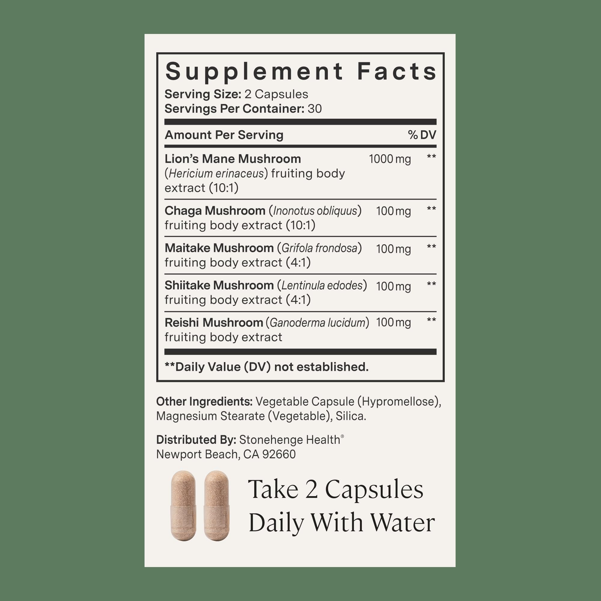 Stonehenge Health Dynamic Mushrooms® | Lions Mane+ Brain, Memory, Focus — Amazon image 4