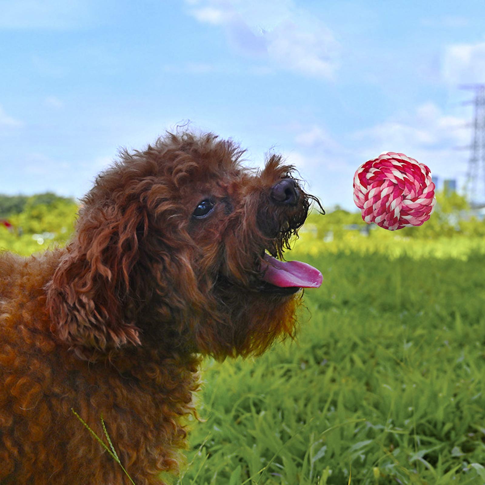 McNoryCane Cotone Naturale, Corda da Masticare Resistenti e Lavabili per la Pulizia dei Denti, Corda per Cane Grande e Cucciolo (15 Pezzi)