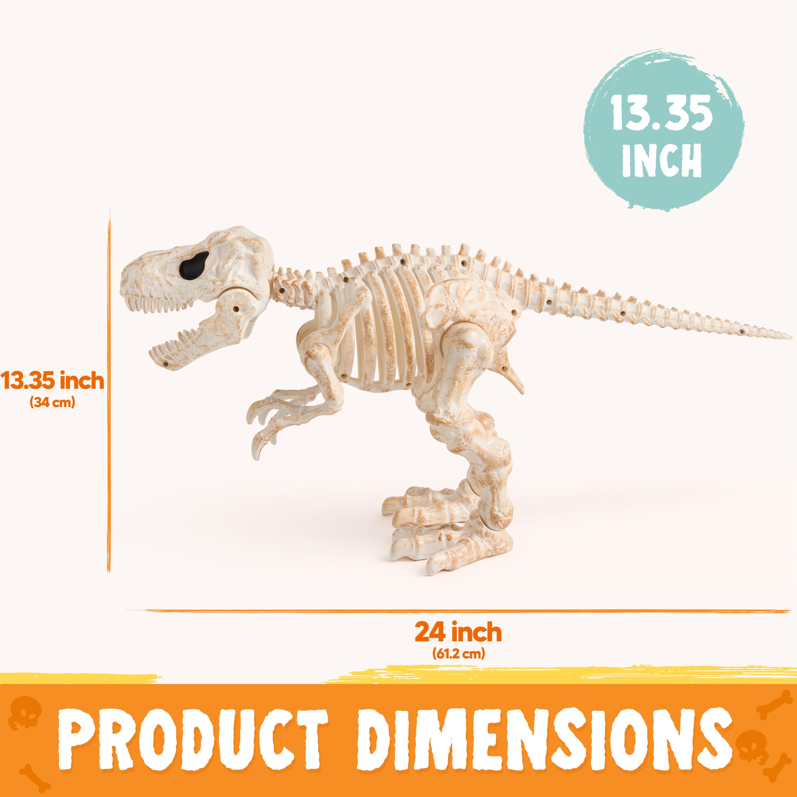 JOYIN 34 cm, scheletro T-Rex mobile per Halloween, osso di dinosauro realistico in plastica con articolazioni mobili, per casa infestata, decorazione da giardino e feste a tema dinosauri spaventosi