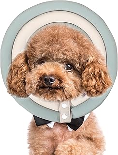 Konisches Hundehalsband - Elizabeth Halsband für Haustiere, Halsband für Haustiere | Flexibler Schutz für Haustiere, Reinigungsdecke und d product image