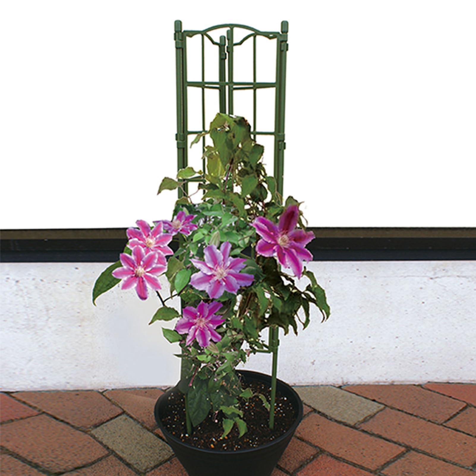 Garden Trellis Network, Trellis per Arrampicata sul Giardinaggio Interno ed Esterno Varie Combinazioni Adatte a Sostegno di Piante da Arrampicata all'aperto, Rose, Verdure, Viti, Fiori