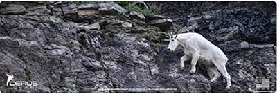 EDOG Goat Gun Cleaning Mat - Rifle Wild Mountain Goat in 4 Color Splendor 12x36 inches Compatible All Series 3 mm Padded Pad Protects Your Firearm Magazines Bench Table Surfaces Oil Solvent Resistant