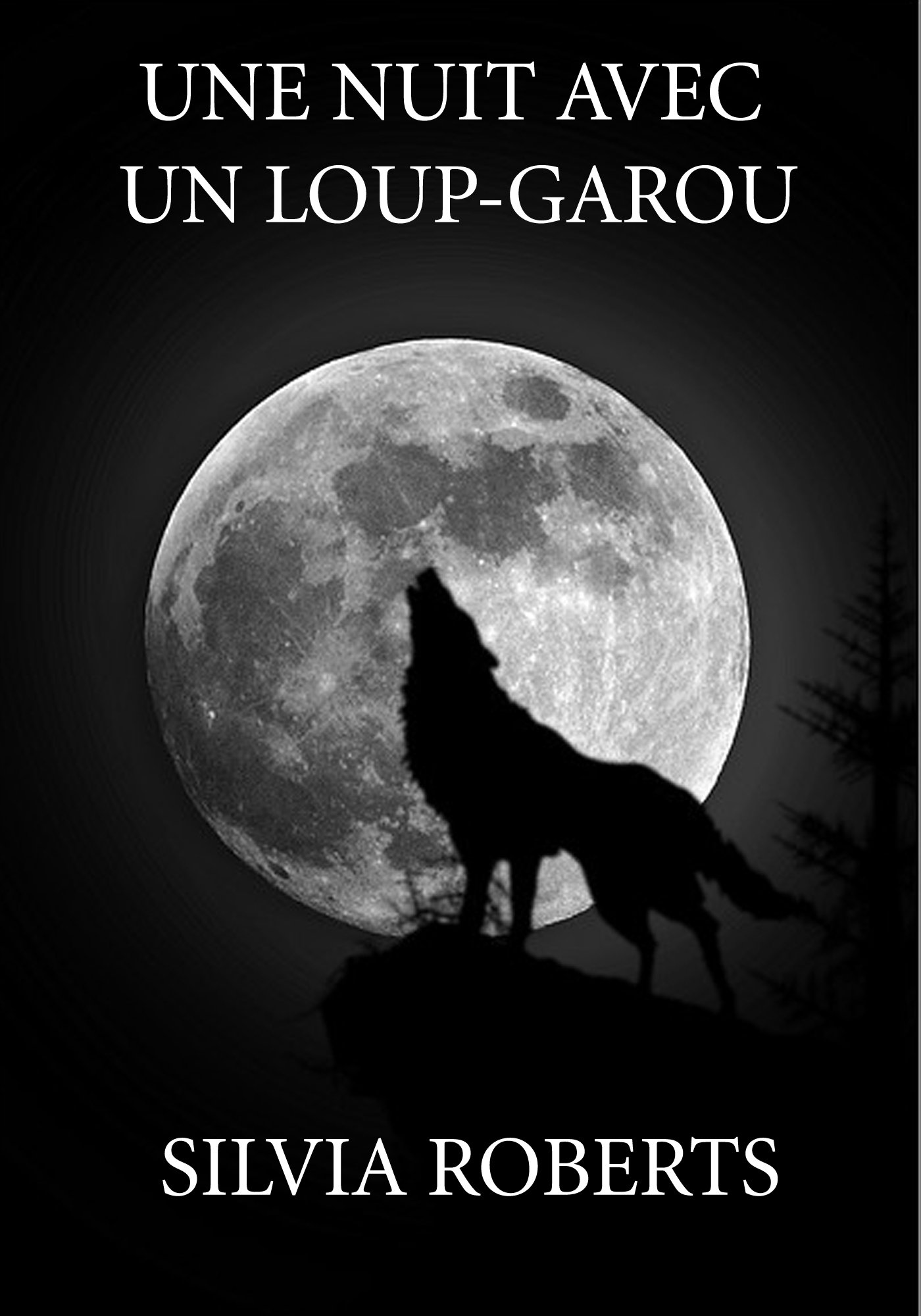 Une nuit avec un Loup-garou (French Edition)