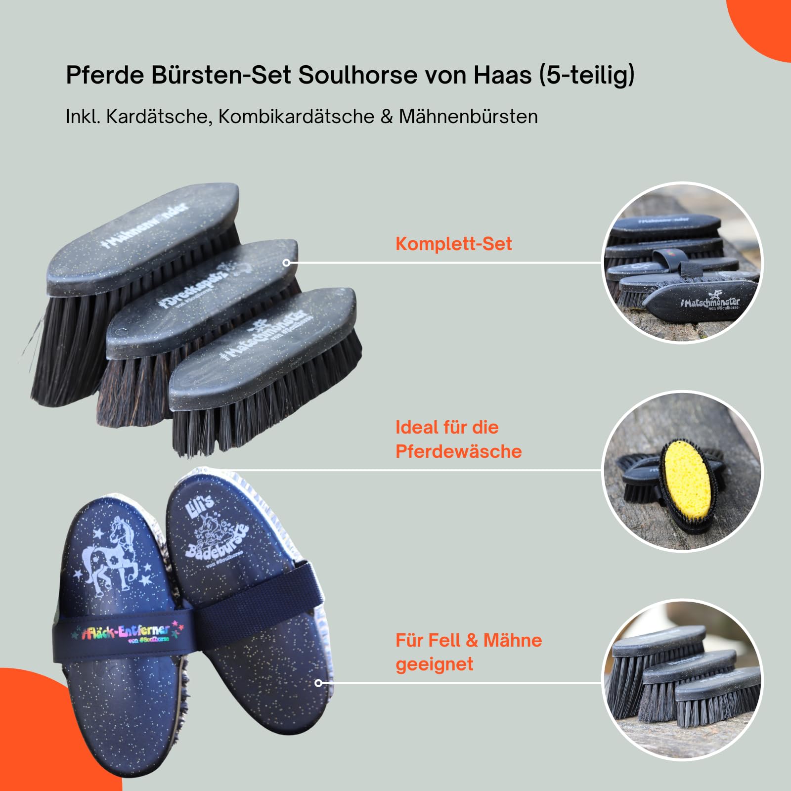 RL24 - Pferde Bürsten-Set Soulhorse von Haas (5-teilig) – schwarz | inkl. Kardätsche, Kombikardätsche & Mähnenbürsten – entfernt Staub, groben Schmutz & Haare – Pferdezubehör