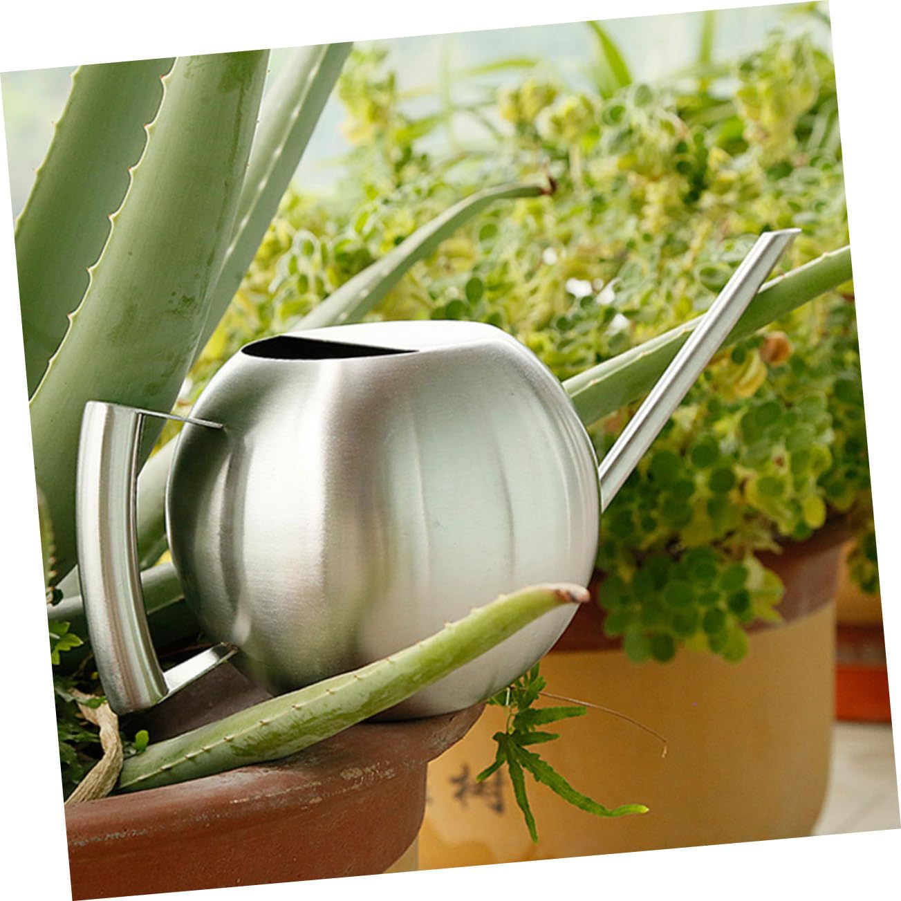 Yardwe Annaffiatoio Da Giardino Con Beccuccio Da 1 Litro Impugnatura Ergonomica Facile Da Riempire Per Piante Da Appartamento E Piante in Vaso