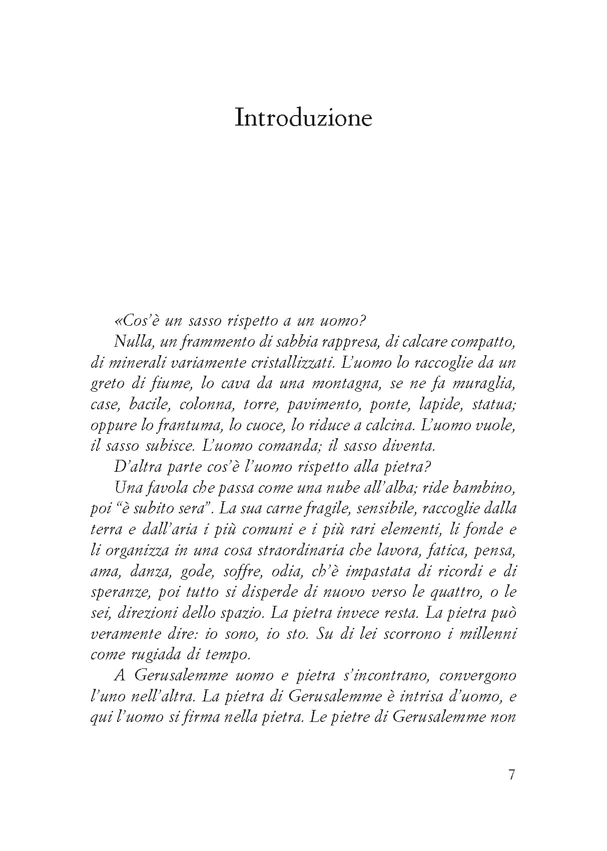 Le pietre di Gerusalemme. D'oro, di rame, di luce e di sangue