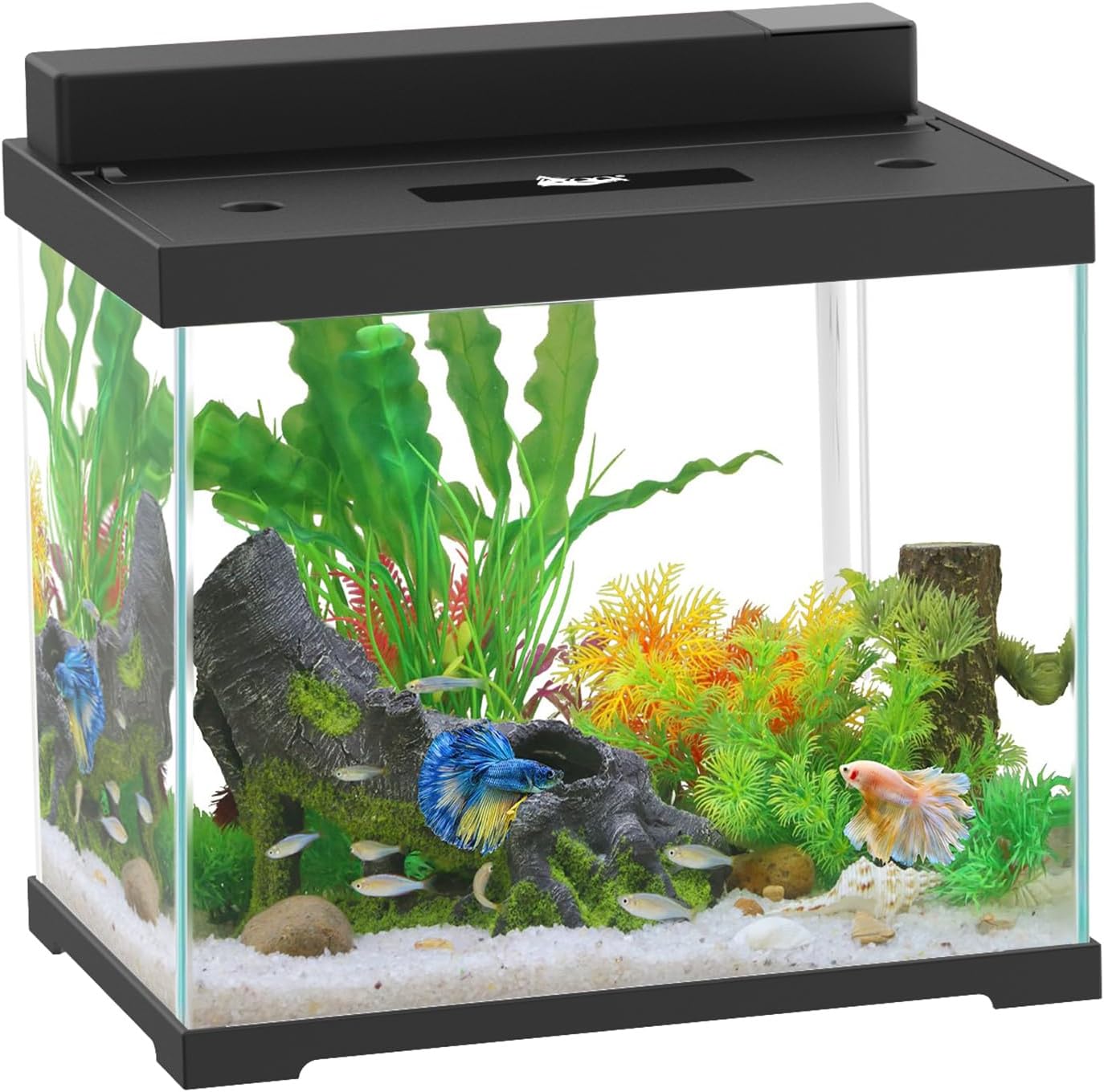 AQQA 2.4 Gallon Glass Aquarium Tank Kit with LED Lights & Quiet Filter – Self-Cleaning All-in-One Fish Tank, ABS Cover, 4 Light Modes, Built-in Feeding Hole – Perfect for Betta, Small Fish, or Plants