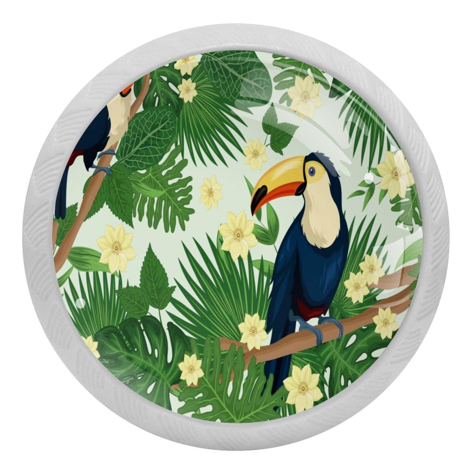 Boutons de placard de cuisine en verre tropical - Lot de 4