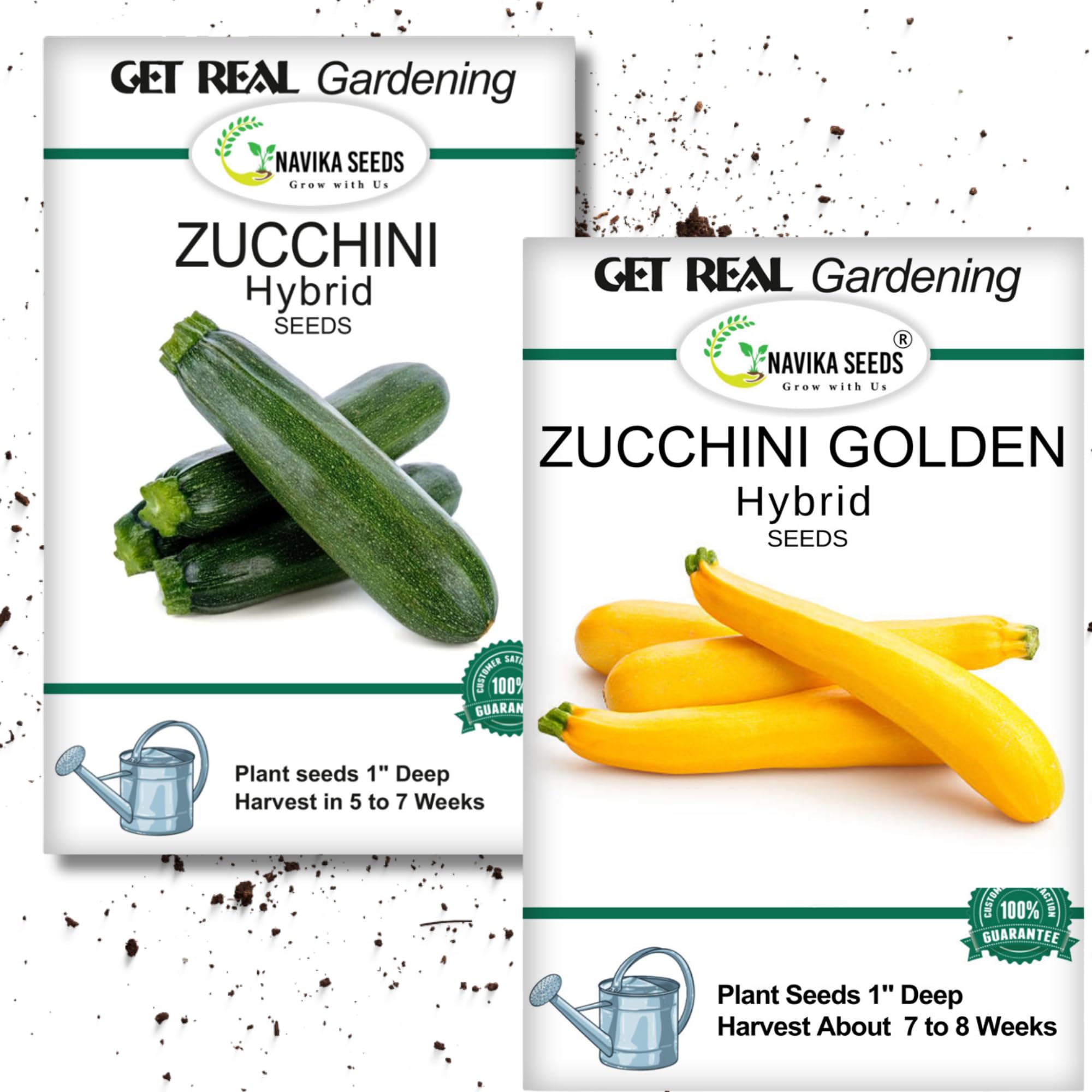 Green Zucchini 10 Seeds & Yellow Zucchini 5 Seeds|F1 Hybrid Vegetable Seeds|High Yield & Fast Growing|For Home Gardening & Kitchen Garden|Free Growing Guide Included