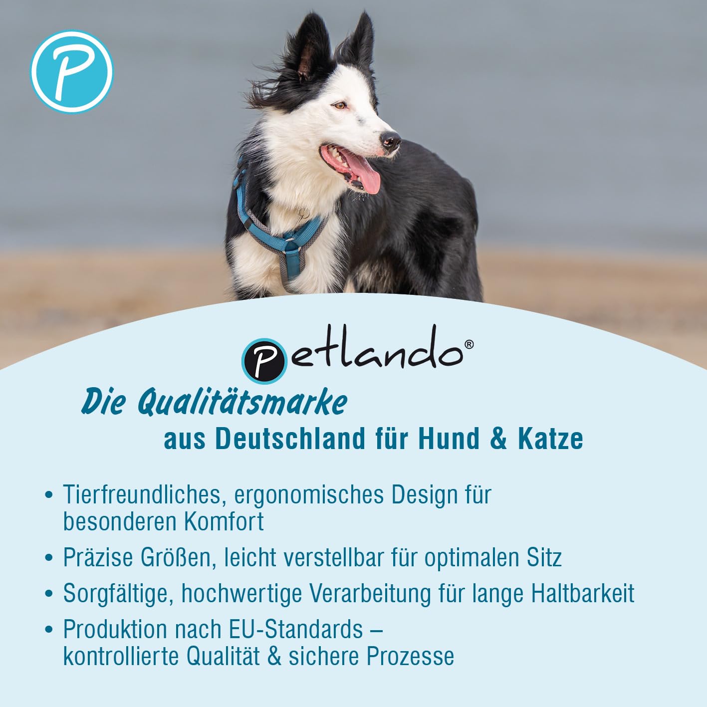 Petlando Hundegeschirr Magnetech Y-Comfort – Innovative Magnetschnalle, atmungsaktiv, mit Mesh gepolstert, stufenlos verstellbar – Navy/Fuchsia XS (Halsumfang 28-52cm, Brustumfang 32-50cm)