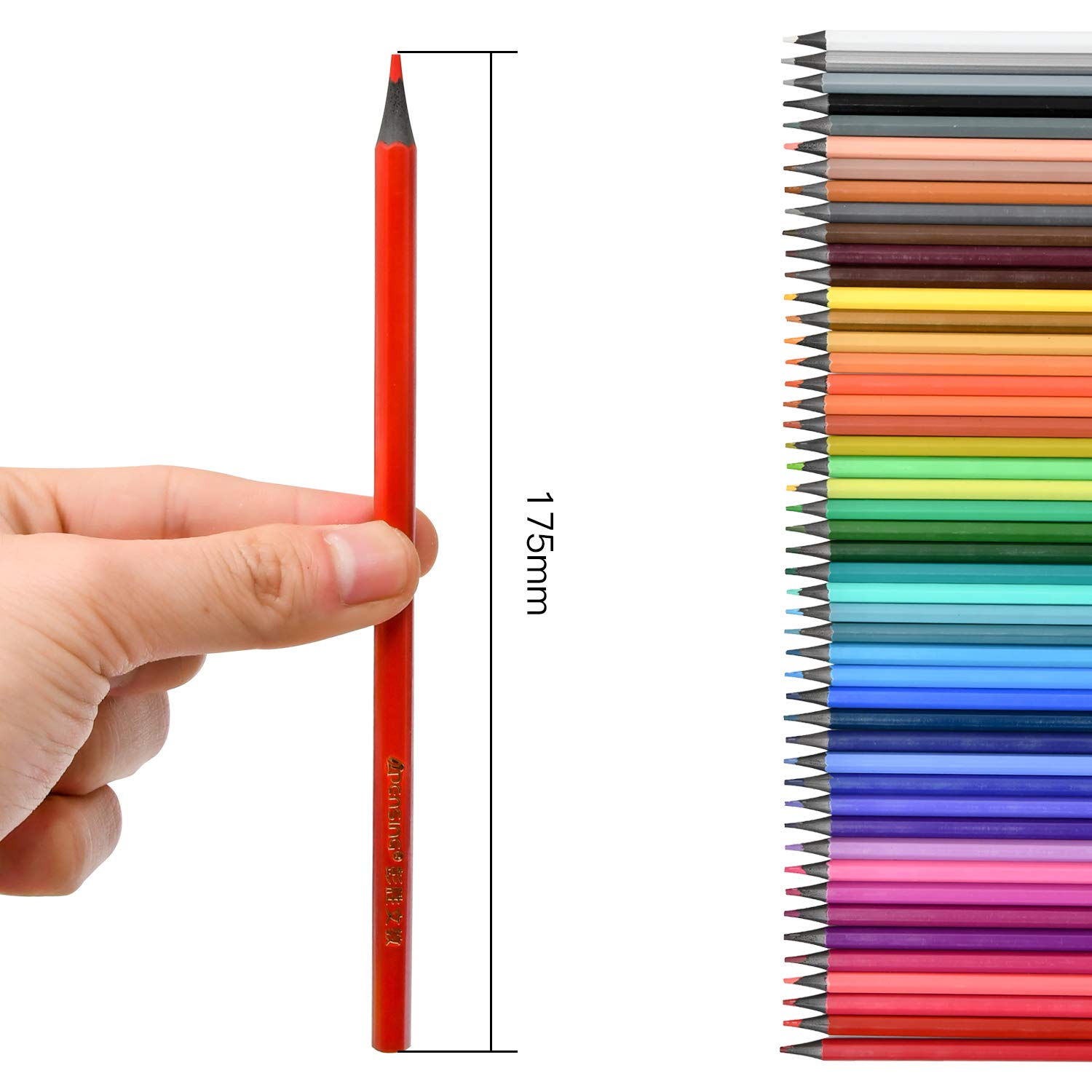 画材セット 油性絵具 筆 色鉛筆 スケッチブック他 Amazon.co.jp: 色鉛筆 48色 画材セット 油性色鉛筆 文房具 塗り絵