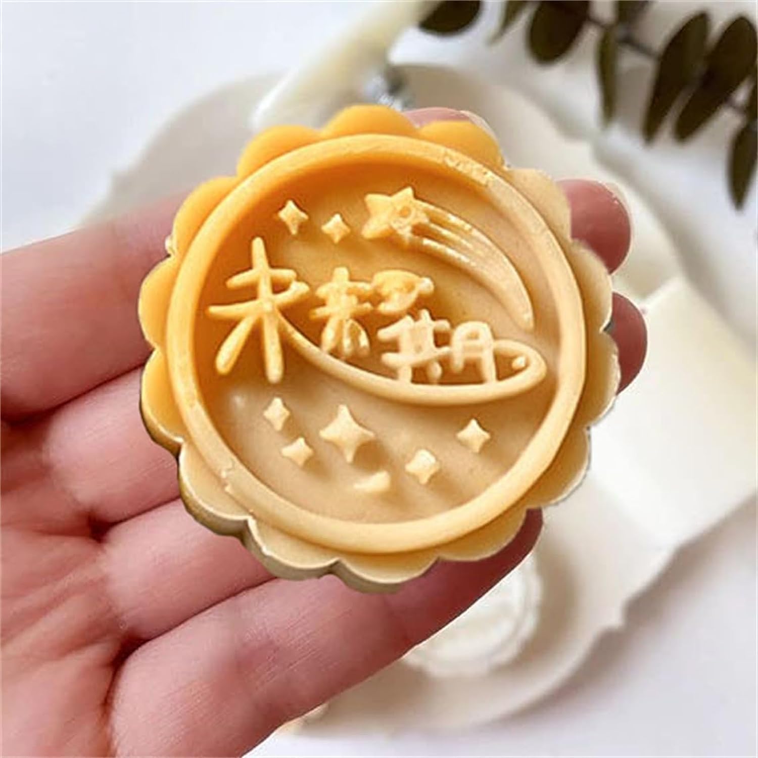 moule à gâteau de lune Moule à gâteau de lune à pression manuelle, moule à gâteau de lune de mi-festival, tampons à biscuits de 50 g, moule à gâteau de lune à fleurs rondes du festival traditionnel ch