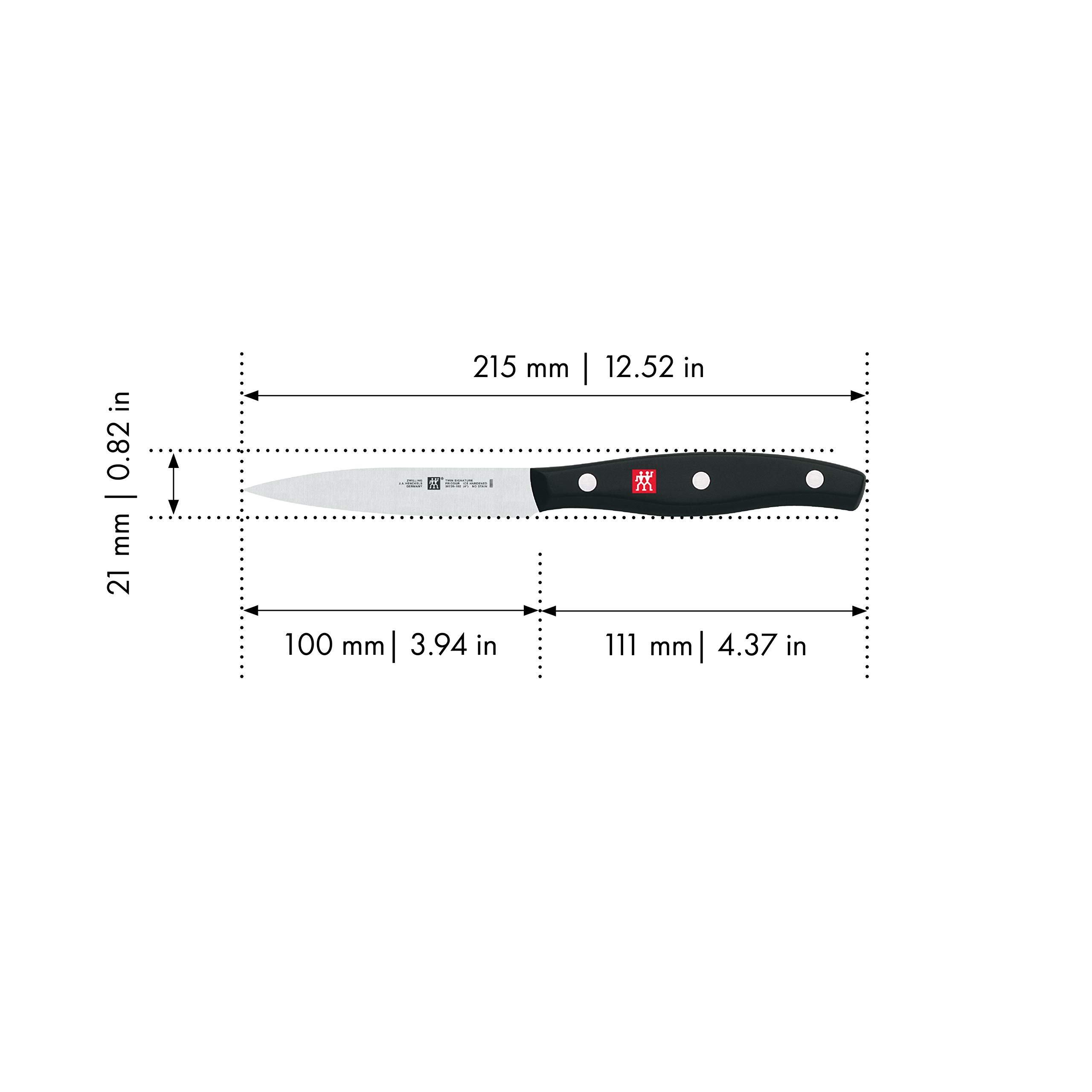 ZWILLING Spelucchino, Lunghezza lama: 10 cm, Lama Stretta, Acciaio Inox /Impugnatura in Plastica, Twin Pollux