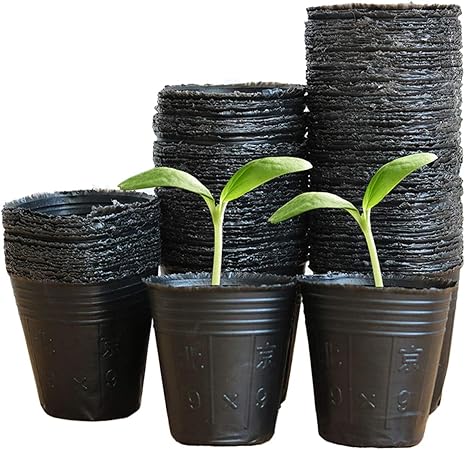 Amazon Co Jp Raynag 100個セット ポリポット 鉢 植木鉢 育苗カップ 育苗ポット エコポット ジフィーポット プラスチック製 軽量 園芸 野菜栽培適用 10cm Diy 工具 ガーデン