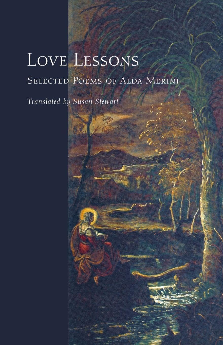 Love Lessons by Alda Merini PAPERBACK 9780691171265