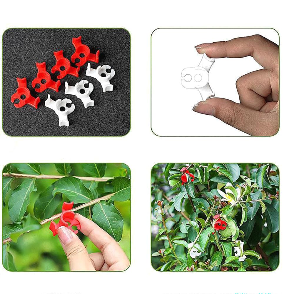 Lot De 12 Paires Chaussettes Femme Diabétique - Coton Doux, Non élastique, Tailles 4-8