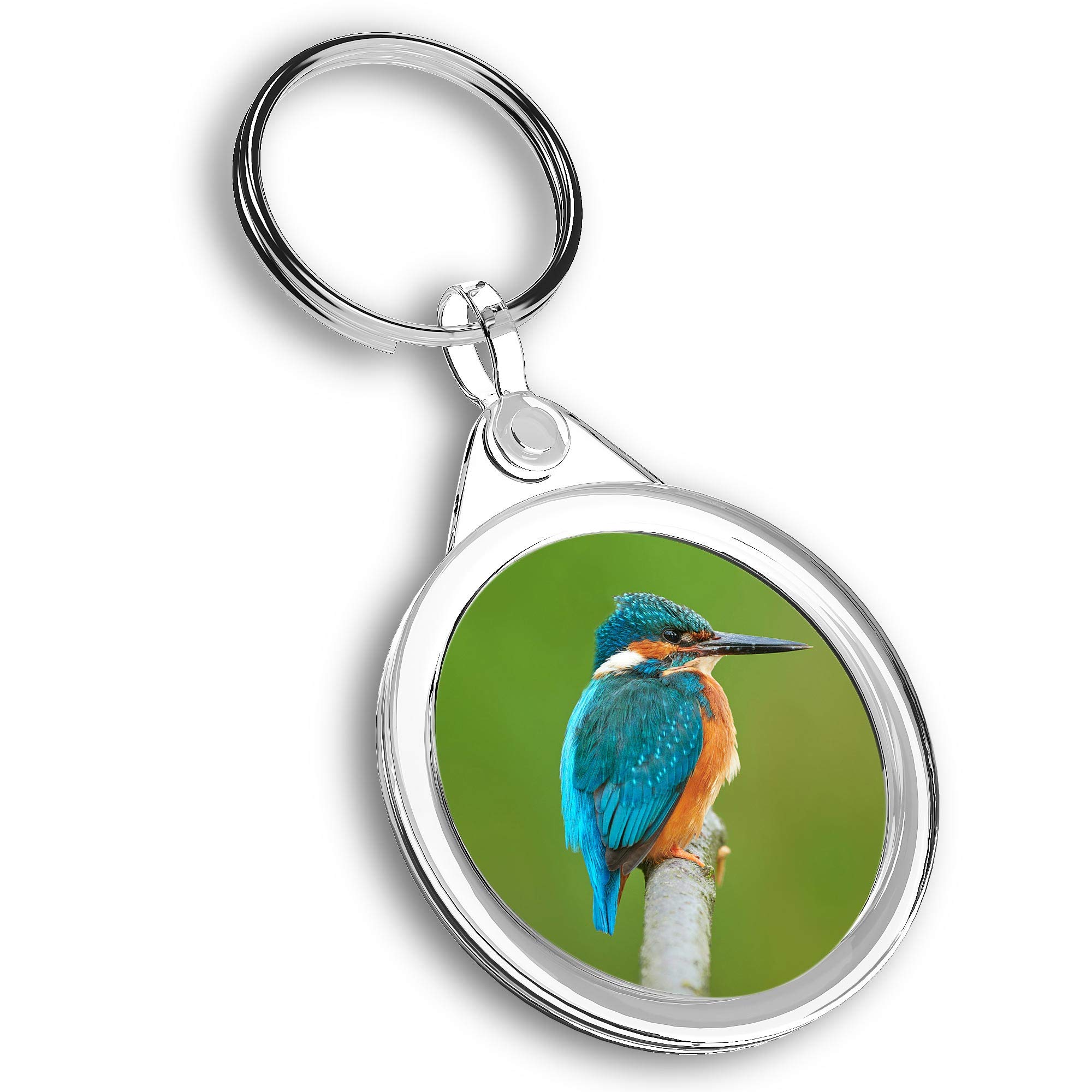 Destination Vinyl Ltd Unisex Multi 1 X Photo Keyring - Kingfisher Blue Small Bird |Keychain|Keyring|Charm| #45471