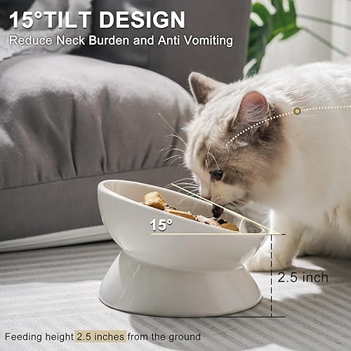 Miniatura 4 de YauYik Cuenco elevado inclinado para gatos  Cuenco elevado de cerámica para gatos y perros pequeños  Plato de 6 pulgadas sin estrés apto para