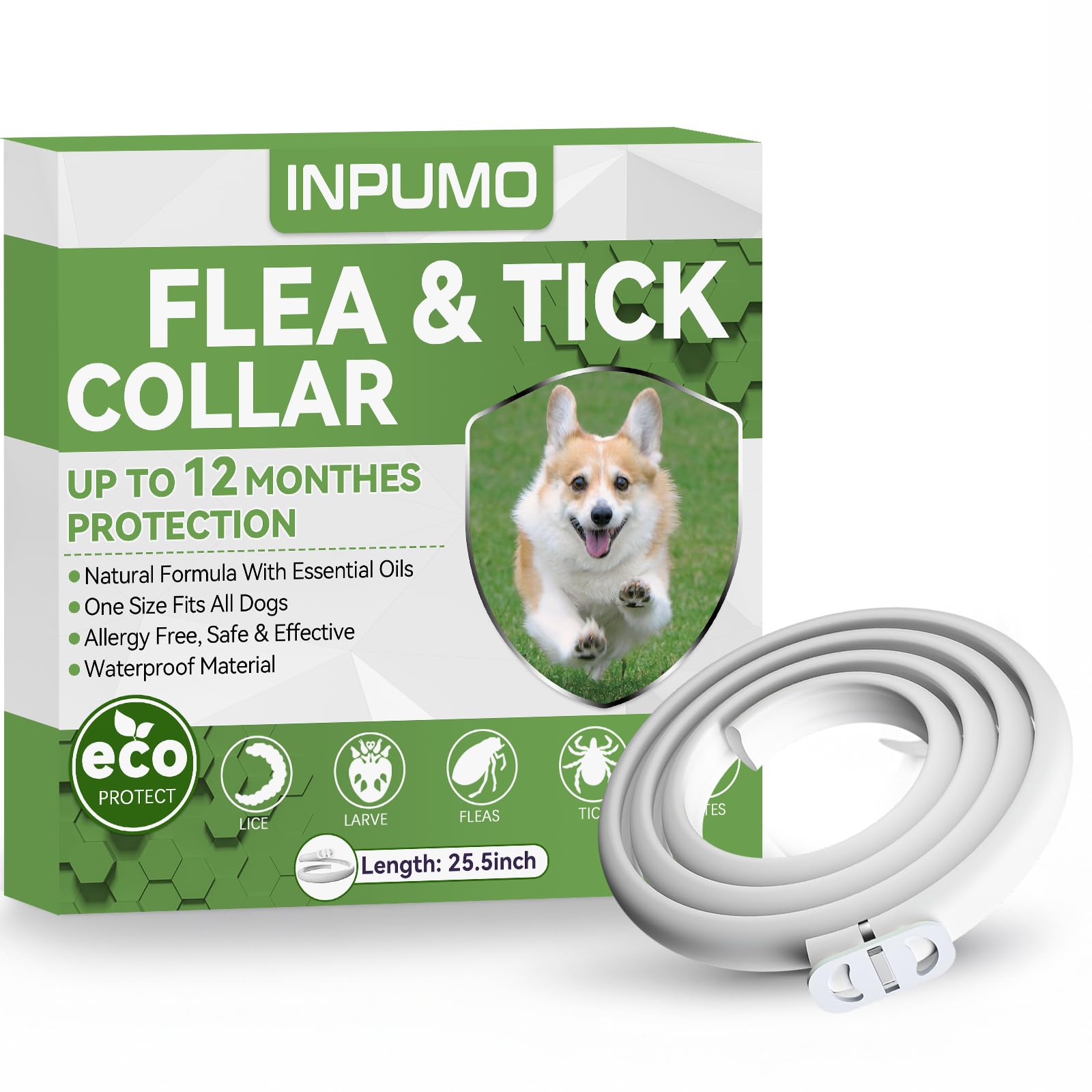 Collar Antiparasitario Perros, Seguro y Eficaz Antipulgas Hecho de Aceites Esenciales 100%, de 12 Meses de Natural Collares Adesparasitante Perros Impermeables Ajustables 1pcs