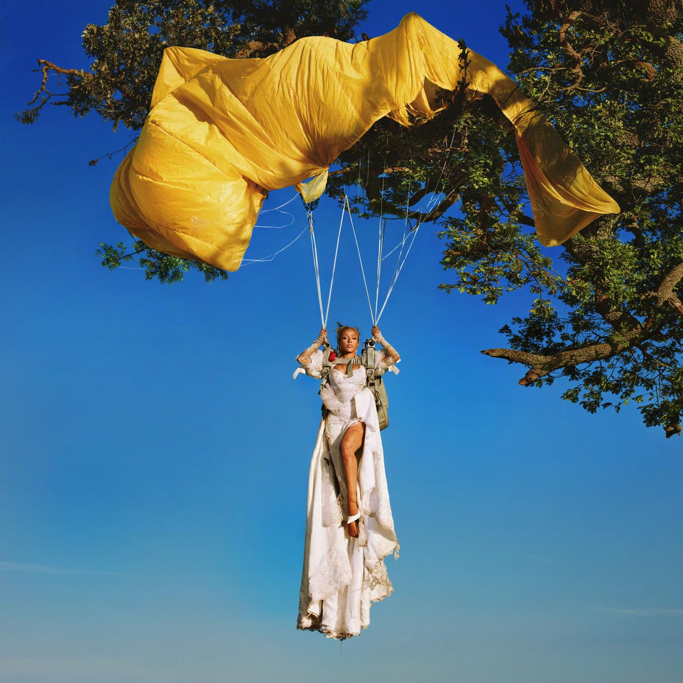 Vie cover art